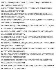 Лекарственное средство для лечения неврологическо-поведенческих рассторойств развития и способ лечения неврологическо-поведенческих расстройств развития (патент 2536230)