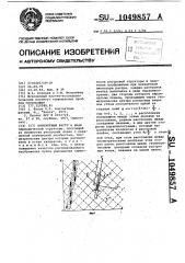 Контактный растр (патент 1049857)