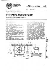 Устройство для измерения крутящего момента (патент 1352257)