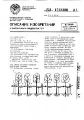 Способ локального орошения многолетних растений (патент 1528386)