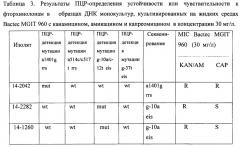 Способ молекулярно-генетической детекции устойчивости микобактерий туберкулеза к противотуберкулезным препаратам второго ряда (фторхинолонам, аминогликозидам и капреомицину) (патент 2633507)