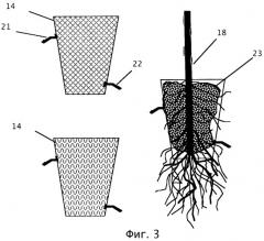Способ и устройство для выращивания растений (патент 2328107)