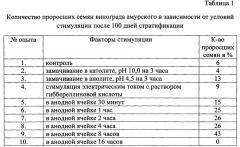 Способ повышения всхожести семян амурского винограда (патент 2654865)