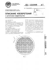 Контактное устройство для тепломассообменных аппаратов (патент 1233889)