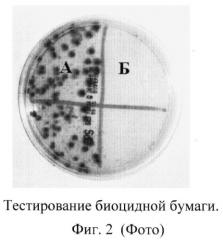 Биоцидная композиция (патент 2494622)