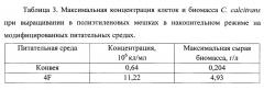 Способ культивирования диатомовой водоросли chaetoceros calcitrans - корма для личинок гигантской устрицы crassostrea gigas (патент 2663328)