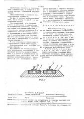 Железнодорожный путь (патент 1752836)