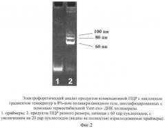 Способ проведения полимеразной цепной реакции с помощью конвекции (патент 2413770)