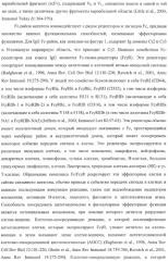 Антитело, содержащее fc-вариантную часть (варианты), фармацевтическая композиция, содержащая антитело, и способ лечения млекопитающего (патент 2390527)