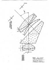 Биокулярная лупа (патент 960709)