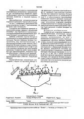 Устройство для отделения примесей от корнеклубнеплодов (патент 1681983)