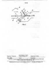Устройство для ориентирования рыбы головой в одну сторону (патент 1755766)