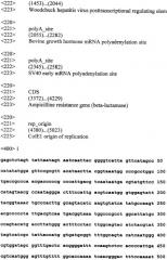 Экспрессионный вектор для синтеза белков в клетках млекопитающих (патент 2364627)