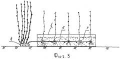 Способ размножения плодовых культур и винограда и устройство для его осуществления (патент 2400057)