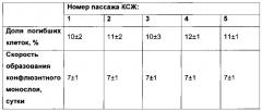 Способ культивирования клеток слюнной железы человека (патент 2631005)