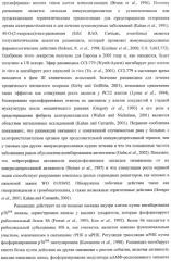 Получение поликетидов и других природных продуктов (патент 2430922)