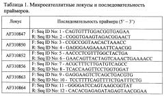 Способ молекулярного маркирования, основанный на микросателлитных локусах, предназначенный для идентификации генотипов березы (патент 2646112)