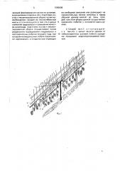 Способ ведения виноградного куста в условиях механизированной уборки (патент 1586608)