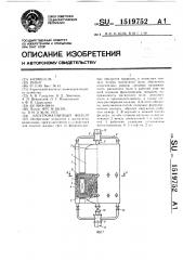 Электромагнитный фильтр (патент 1519752)