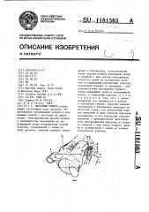 Дисковый тормоз (патент 1181563)