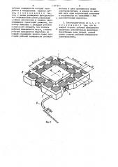 Двухкоординатный шаговый электродвигатель (патент 1201971)