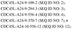 Пептиды cdc45l и вакцины, включающие таковые (патент 2562160)