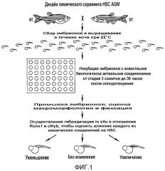 Способ стимулирования экспансии гематопоэтических стволовых клеток (патент 2493252)