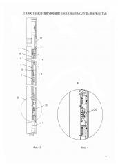 Газостабилизирующий насосный модуль (варианты) (патент 2593728)