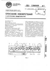 Шаговый конвейер-накопитель (патент 1266809)