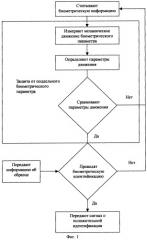 Способ биометрической идентификации (патент 2286599)