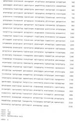 Рекомбинантный штамм бактерий escherichia coli - продуцент янтарной кислоты (варианты) и способ получения янтарной кислоты с использованием этого штамма (патент 2528056)