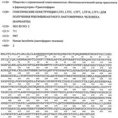 Генетические конструкции ltf3, ltf5, ltf7, ltf10, ltf11 для получения рекомбинантного лактоферрина человека (варианты) (патент 2491343)
