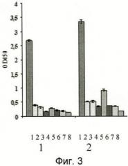 Наноантитела amh1, amh2, связывающие антиген mycoplasma hominis, способ их получения, способ лечения инфекции, вызванной mycoplasma hominis (патент 2484095)