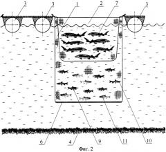 Способ выращивания рыбы в поликультуре в садках (патент 2330406)