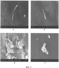 Устройство для топического электронно-микроскопического обнаружения l-форм бактерий на полипах носа (патент 2269938)