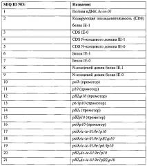 Элементы рекомбинантной днк для экспрессии рекомбинантных белков в клетке-хозяине (патент 2619161)