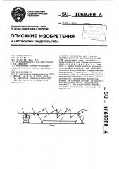 Устройство для очистки чайного листа от посторонних примесей (патент 1069760)