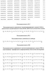 Рекомбинантный белок collbd-cbd, рекомбинантная плазмида pос-collbd, штамм escherichia coli - продуцент рекомбинантного белка collbd-cbd, способ получения рекомбинантного белка collbd-cbd (патент 2408726)