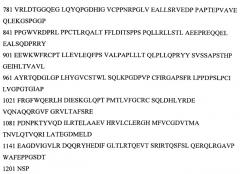 Лекарственное средство и способ лечения головокружений (патент 2577136)