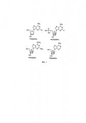 Гидройодная соль 7-метил-2'-дезоксигуанозина в качестве субстрата для получения 2'-дезоксинуклеозидов методом ферментативного трансгликозилирования (патент 2664472)