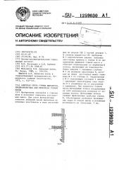 Анкерная крепь горных выработок,предназначенных для перепуска горной массы (патент 1259030)