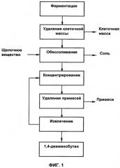 Способ выделения и очистки 1,4-диаминобутана из ферментационного раствора (патент 2573935)