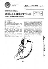 Способ лечения язвенной болезни двенадцатиперстной кишки (патент 1465030)