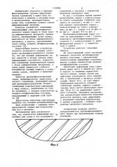 Противофильтрационный экран (патент 1124082)
