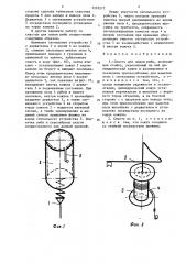 Снасть для ловли рыбы (патент 1333275)