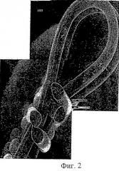Сшиваемая полутораслойная прессовальная ткань из моноволоконных нитей, имеющая малую толщину (патент 2326202)