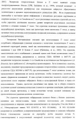 Модифицированная ксиланаза (патент 2394909)