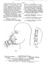 Автономный респиратор с поддувом (патент 620266)