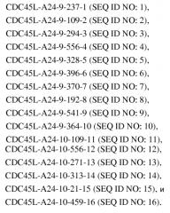 Пептиды cdc45l и вакцины, включающие таковые (патент 2562160)
