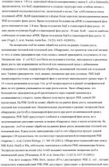 Способ получения l-аминокислот с использованием бактерии, принадлежащей к роду escherichia, в которой инактивирован один или несколько генов, кодирующих малые рнк (патент 2395567)